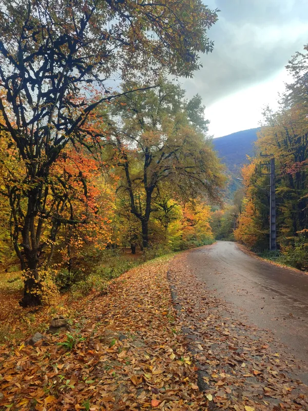 Autumn painting thumbnail