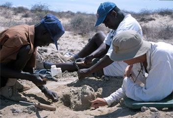 A field crew in Kenya