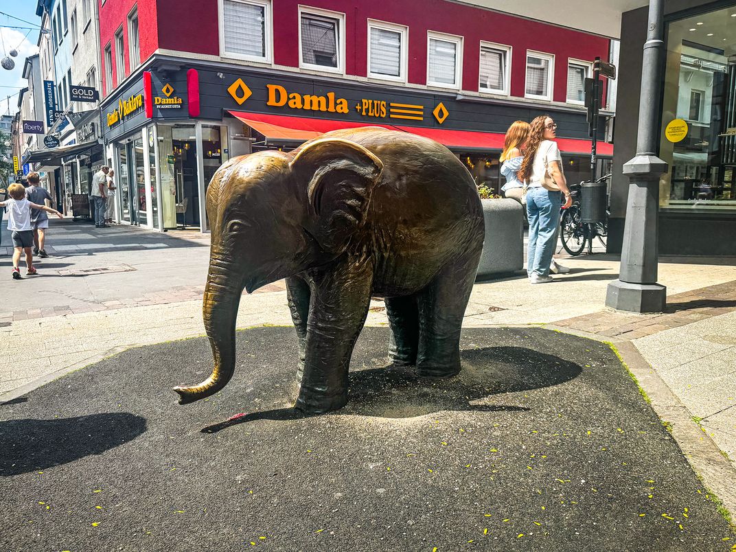 When Germany Built a Flying Train 125 Years Ago, a City Coalesced Beneath It. It Has Moved Royalty, Commuters and Tourists—and One Elephant—Ever Since