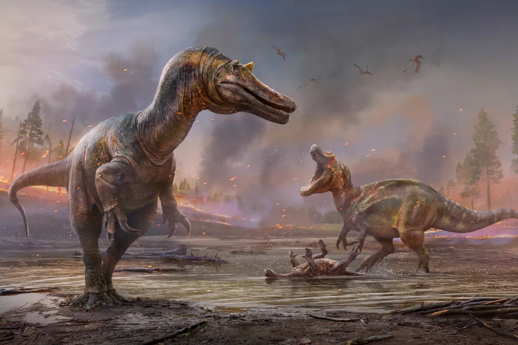 An illustration of two spinosaurids. They look like T. rex with large, crocodile-like heads. There is smoke and fire in the background. One dinosaur is further back and is roaring on top of the dead body of another, smaller dinosaur.