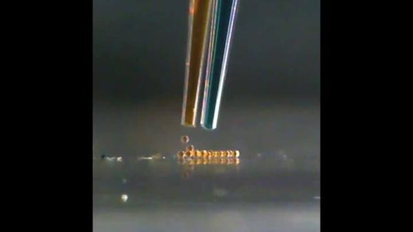 Preview thumbnail for 3D Printer Creates Human Tissue-Like Structures From Water