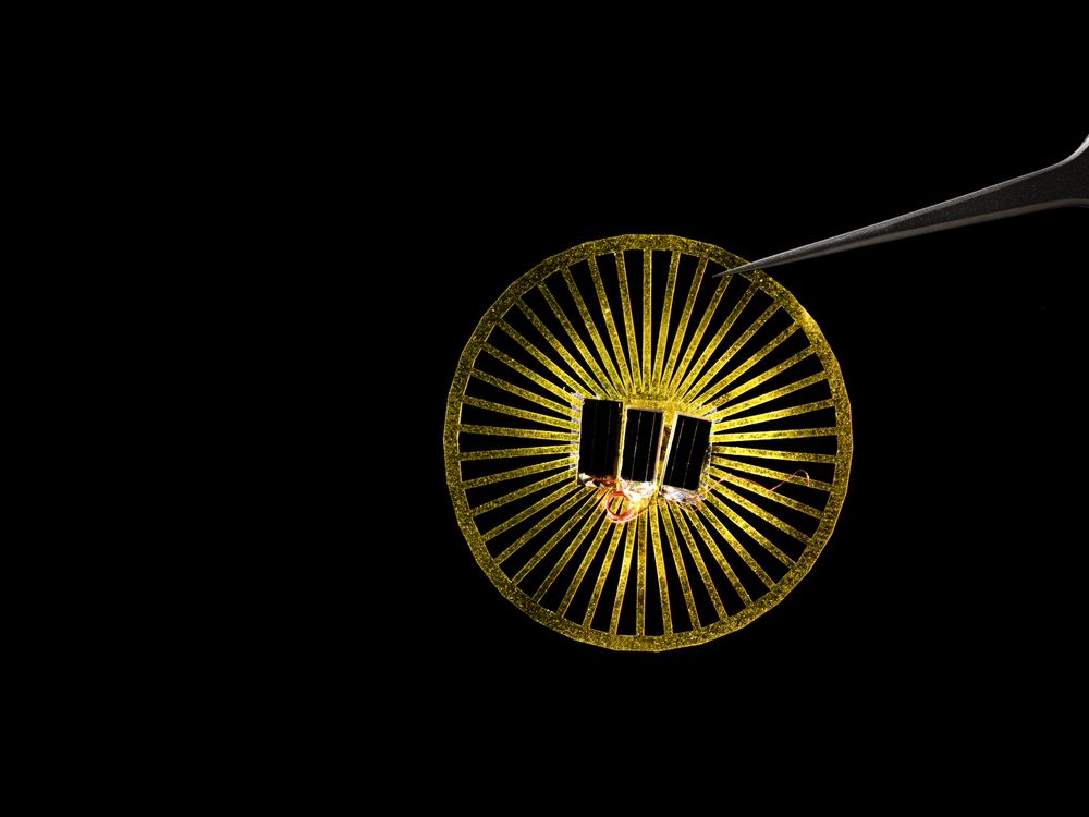 An image of a small wheel like yellow disc with sensors attatched to the middle. A set of tweezers is holding the device against a black background.