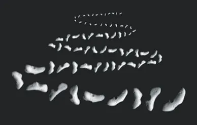 The tumbling asteroid Eros (shown here in a time sequence taken during NEAR's approach) was a challenging target for space navigators.