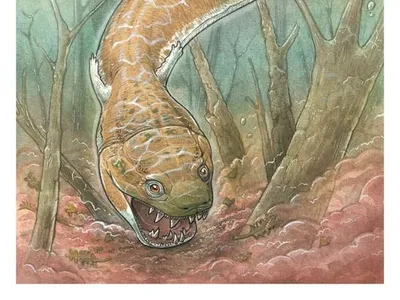 An artist&rsquo;s rendering of the creature called Gaiasia jennyae

