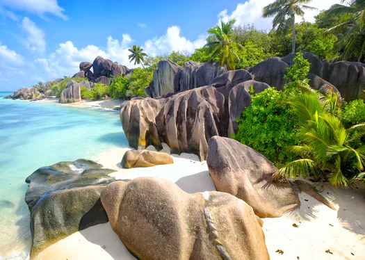 Madagascar and Seychelles: Natural Treasures of the Indian Ocean