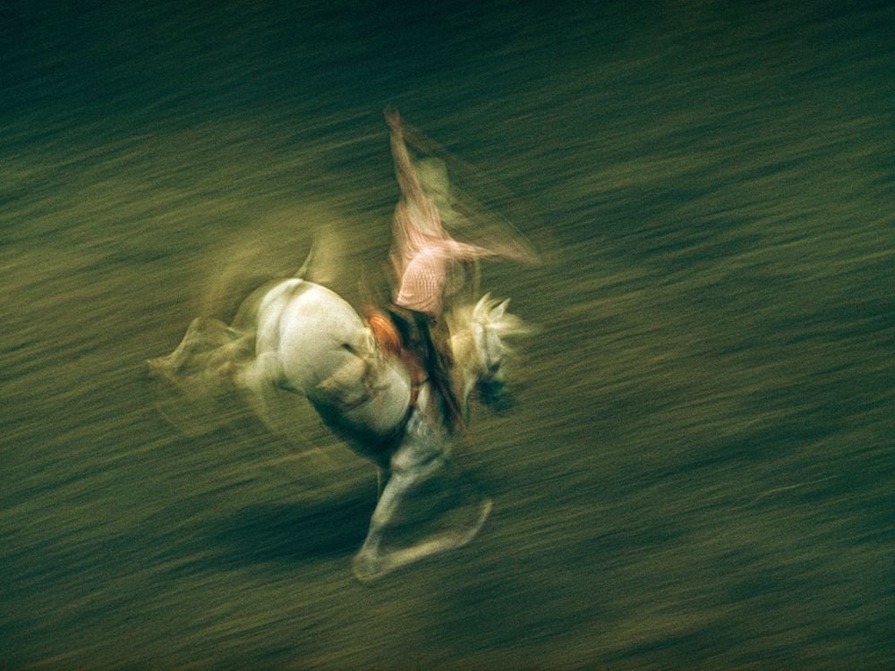 A rider holds onto a bucking horse