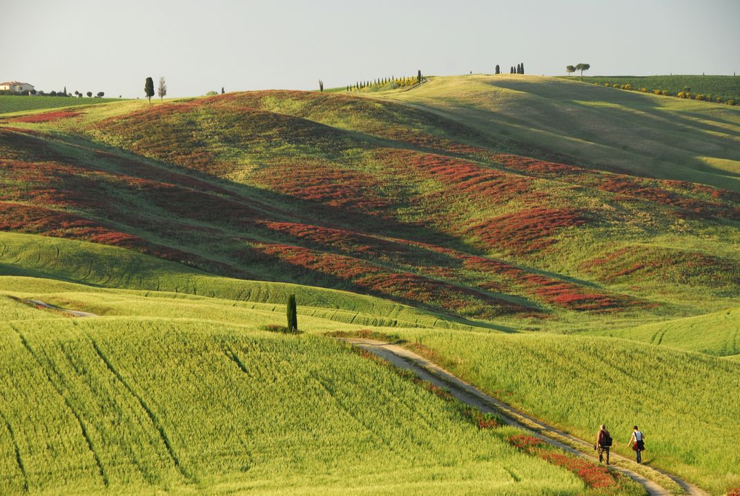 Walkers in the hills of Tuscany