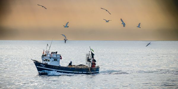 Amalfi Fishing Boat thumbnail