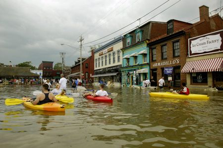 Kayakers paddle along the roadway of the historic waterfront of Annapolis, following Hurricane Isabel. As much as four feet of water flooded the historic capital city.