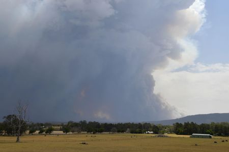 In Australia, pyrocumulonimbus clouds sent somewhere between 300,000 and 900,000 metric tons of smoke into the stratosphere.