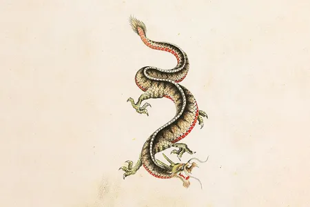 Tattoo by early Japanese tattoo artist K. Akamatsu, ca. 1910s