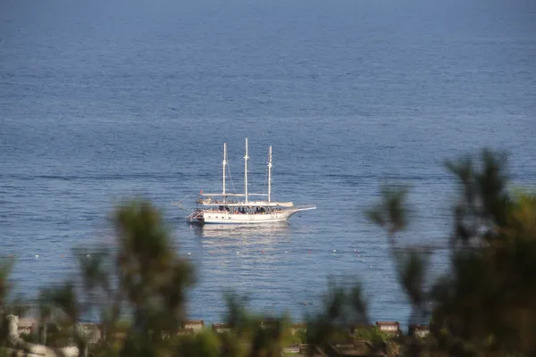 White Ship thumbnail