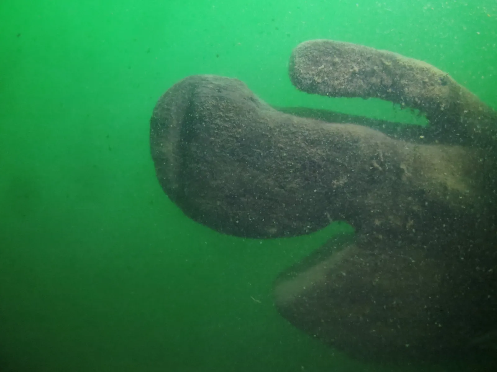 Underwater Archaeologists May Have Discovered the Oldest Shipwreck