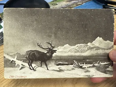 See a Mysterious Postcard That Was Delivered 121 Years Late image