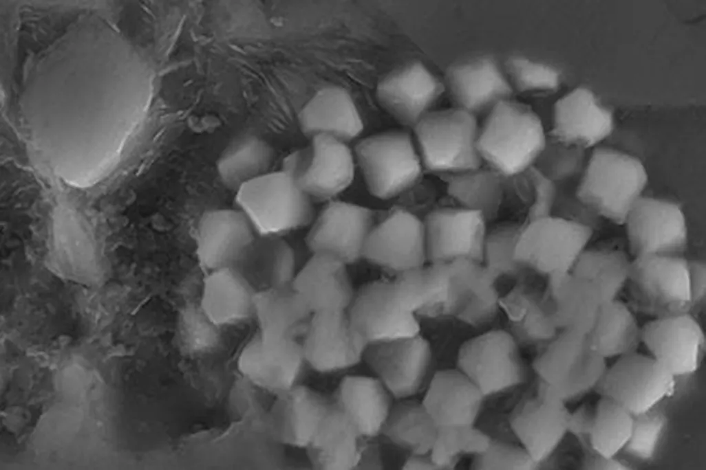 A piece of black marble from a quarry in Vermont as seen under a scanning electron microscope