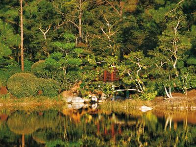 Morikami landscape