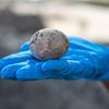 Archaeologists Discover—and Crack—an Intact, 1,000-Year-Old Chicken Egg icon