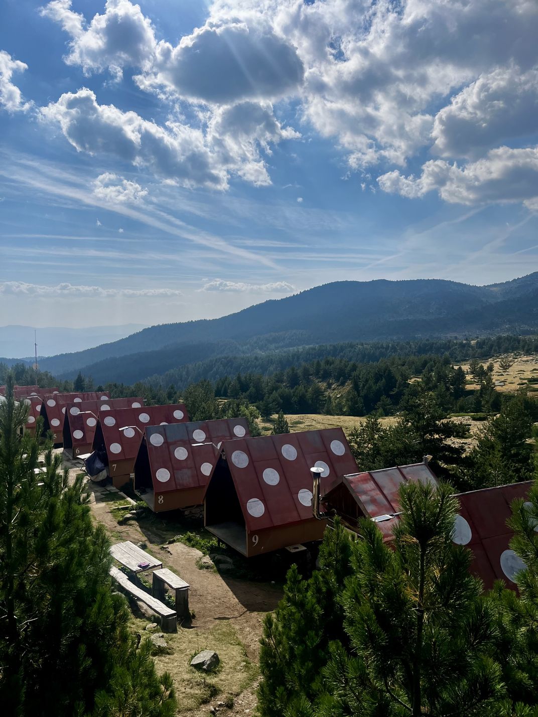 Ladybug Huts | Smithsonian Photo Contest | Smithsonian Magazine