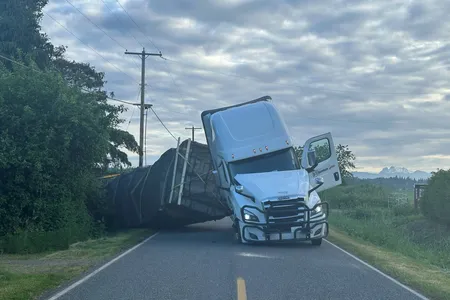 The driver likely erred while making a sharp turn, setting millions of bees free.