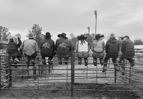 Like birds on a wire, a day at the rodeo thumbnail