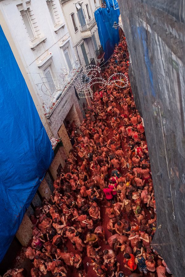 Tomatina 004 thumbnail
