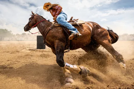 A cowgirl competes in a race that requires horses to run around barrels in an obstacle course.
&nbsp;