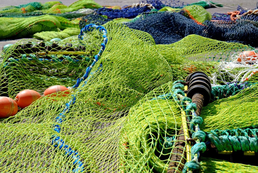 Global Fishing Fleets Waste Ten Percent of Catch | Smart News ...