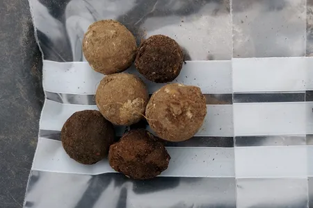 Archaeologists and volunteers found&nbsp;lead musket balls and cannon shot at an area that was situated between Jacobite and British government lines during the battle.