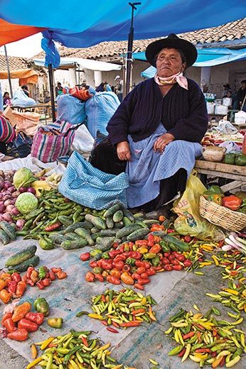 20110520090020cochabamba-bolivia-market-2.jpg