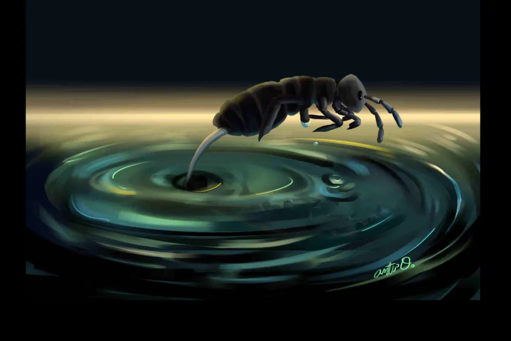 Illustration of springtail