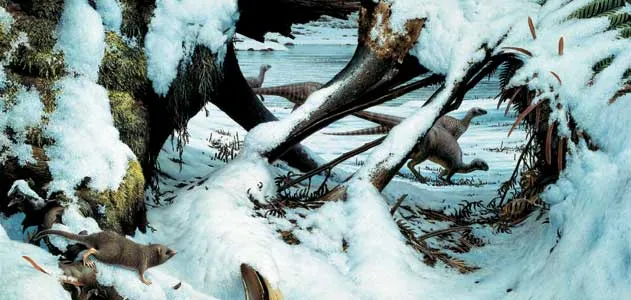 www.smithsonianmag.com