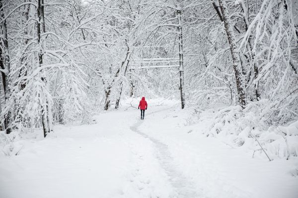 Snow Day in Arlington thumbnail