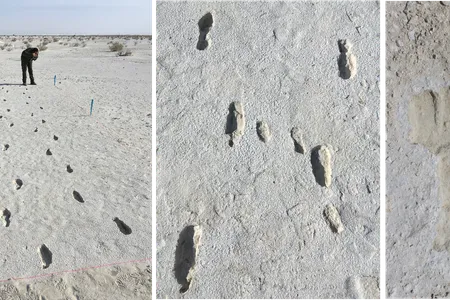 The footprints found at White Sands National Park are more than 10,000 years old.