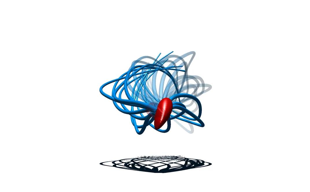 3D Sperm Tailspin