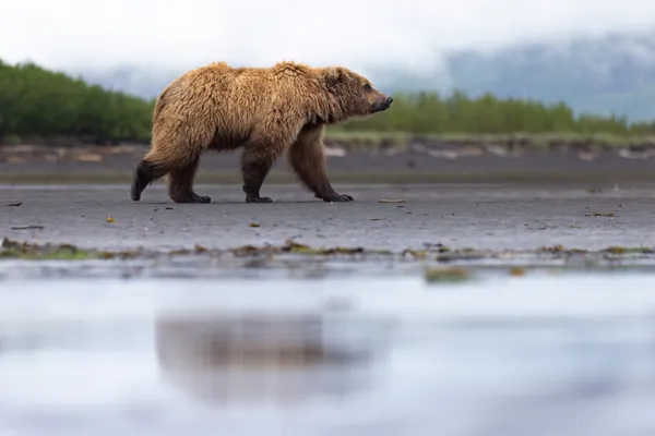 Land and Sea thumbnail