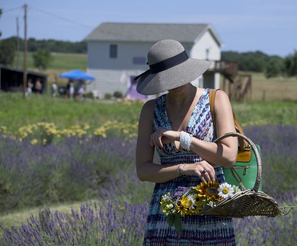 Gathering Flowers on the Fourth of July thumbnail