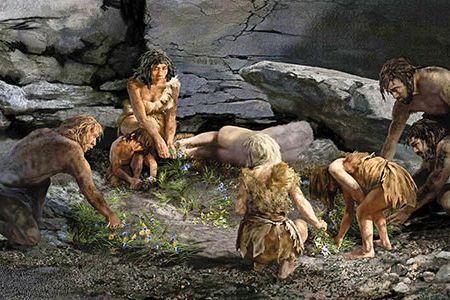 Ongoing studies of Neanderthal skeletons unearthed in Iraq during the 1950s suggest the existence of a more complex social structure than previously thought.