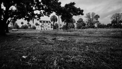 Inside the Struggle to Preserve Georgia's Butler Island, Home to a Notorious Plantation image