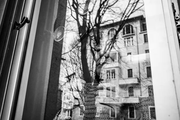 Pina at the window thumbnail