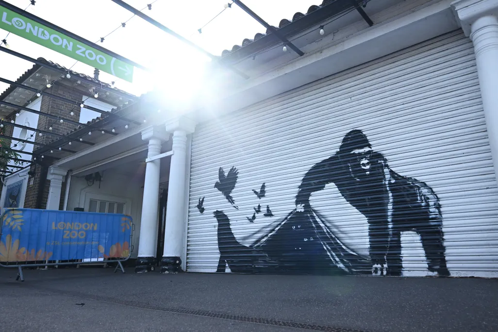 Banksy Gorilla
