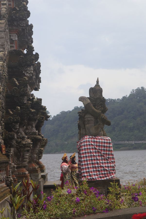 Getting ready for their turn ! thumbnail