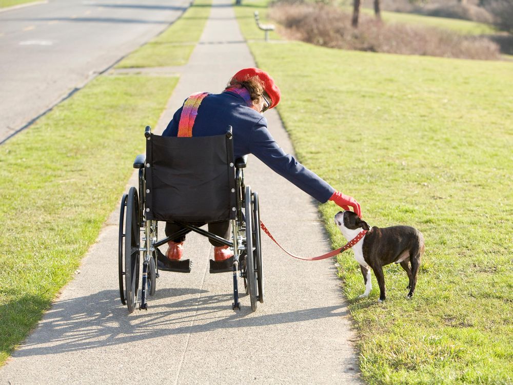 dog and owner