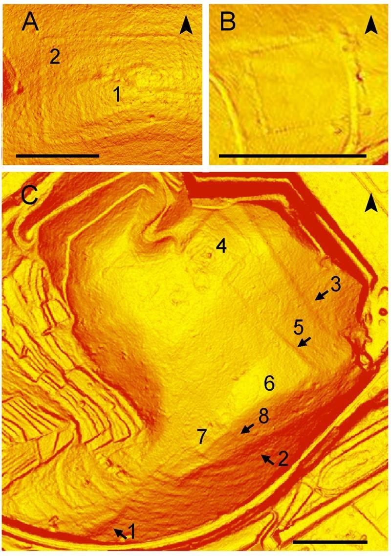 Roman Fort LiDAR