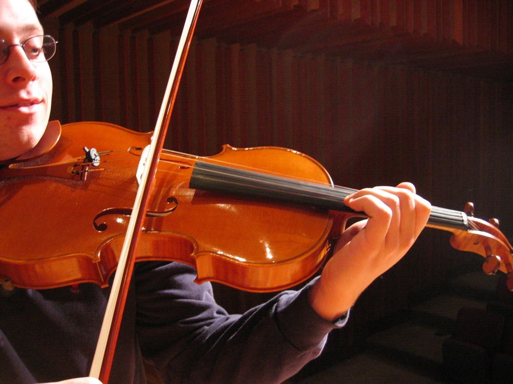 violin