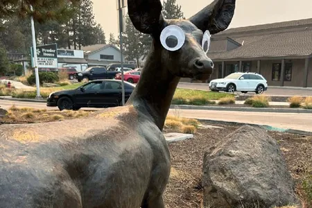 Big Ears by artist Joe Halko