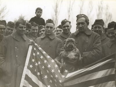 Often called "military mascots," animals played pivotal roles during WWI. Pictured here is John Bull of the 77th Aero Force (sic).  [165-WW-472A-49]
