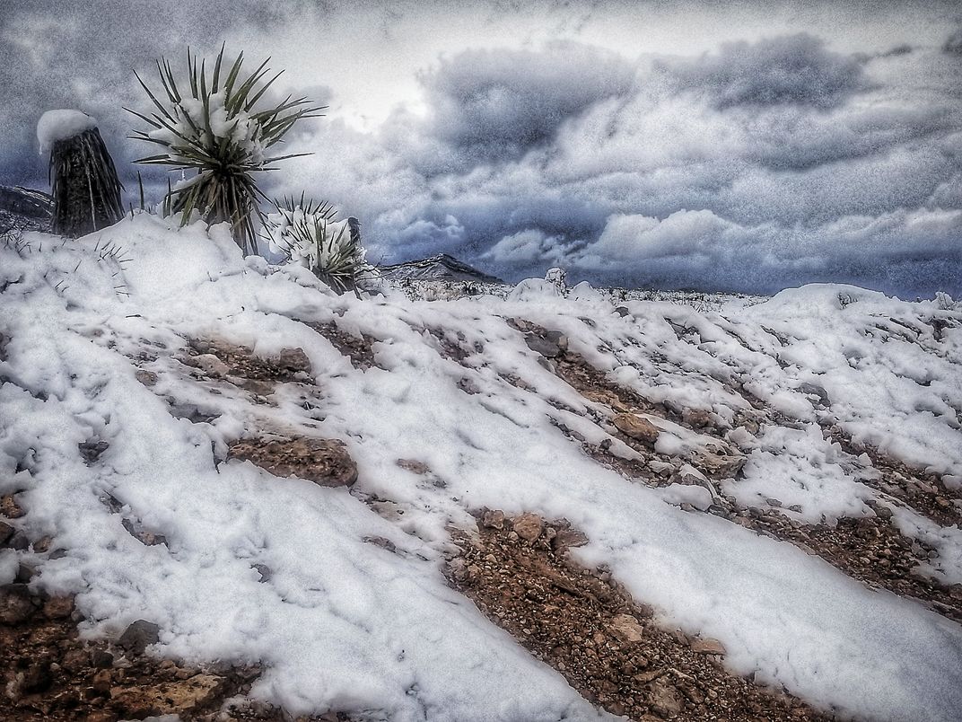 A rare snow outside Lake Mead Drive in Las Vegas NV Smithsonian Photo Contest Smithsonian