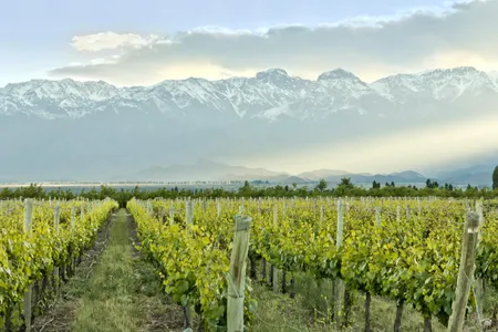 Mendoza, Argentina. 