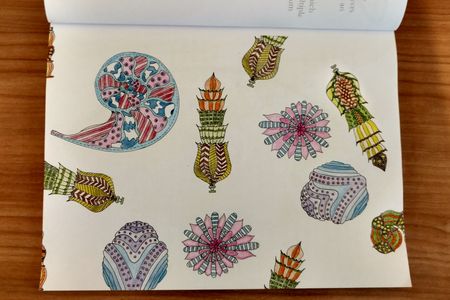 A selection of foraminifera, tiny marine creatures that form elaborate shells of calcium carbonate or silica.