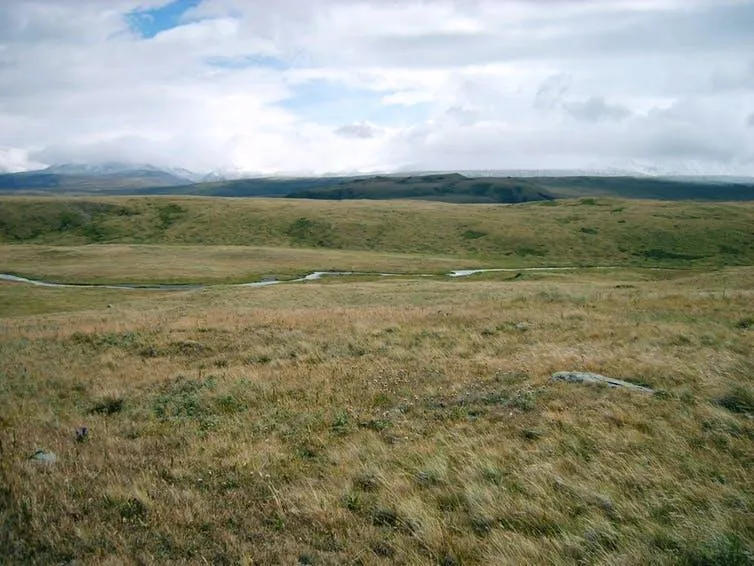 Ukok Plateau, Siberia, is one of the last remnants of the mammoth steppe.